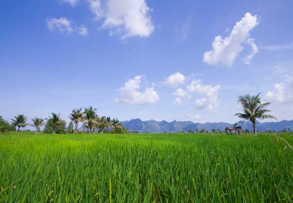 Top 8 Localities to Buy Plots in OMR